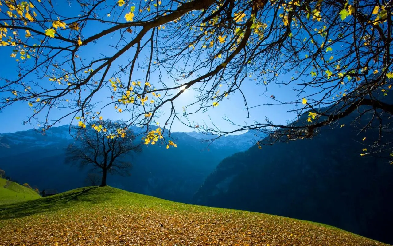 先进信息化